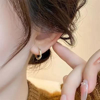 FTCY Simple Luxury Zircon Metal Hoop Earrings Exquisite Small Round Circle Earrings 's Jewelry Gifts