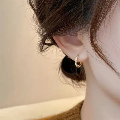 FTCY Simple Luxury Zircon Metal Hoop Earrings Exquisite Small Round Circle Earrings 's Jewelry Gifts
